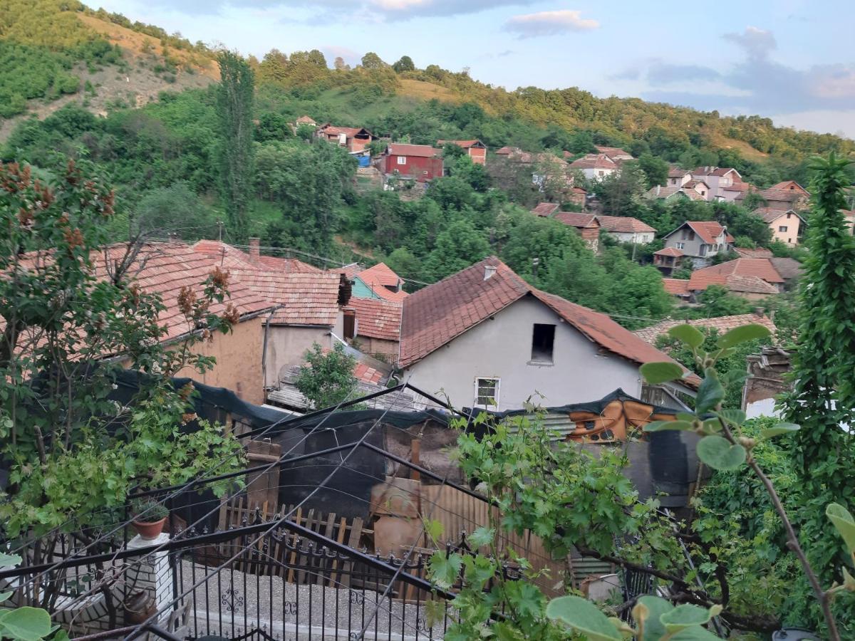Vila Mir بايرت المظهر الخارجي الصورة